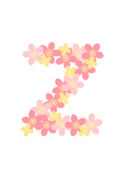 アルファベット「z」