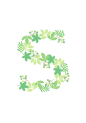 アルファベット「s」