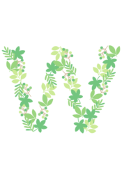 アルファベット「w」