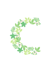アルファベット「c」