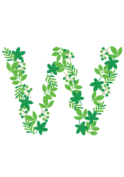 アルファベット「w」