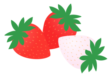 赤イチゴ（苺）と白イチゴ（苺）