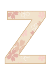 アルファベット「Z」