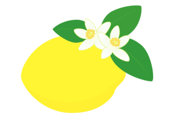 レモン（檸檬）