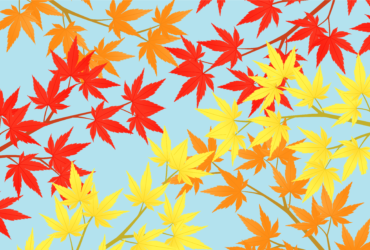 秋のミニポスターはがき（横向き：紅葉のカエデ）