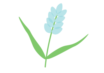 抽象花（シンプルデザイン）