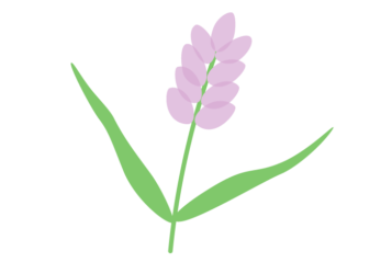 抽象花（シンプルデザイン）