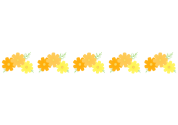 秋の飾り罫線（コスモスの花）