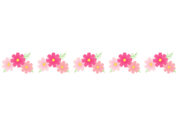 秋の飾り罫線（コスモスの花）