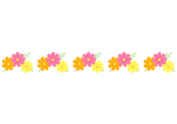 秋の飾り罫線（コスモスの花）