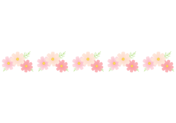 秋の飾り罫線（コスモスの花）