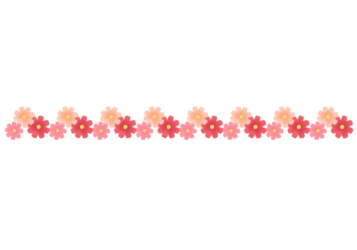 秋の飾り罫線（コスモスの花）