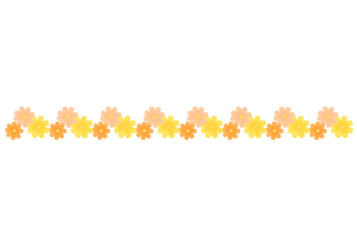 秋の飾り罫線（コスモスの花）