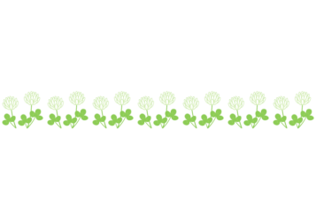 春の飾り罫線（シロツメクサの花）