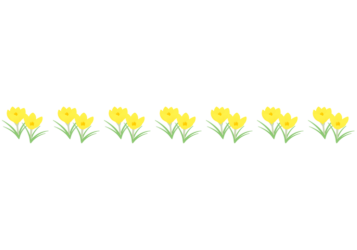 春の飾り罫線（クロッカスの花）