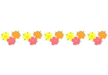 夏の飾り罫線（マツバボタンの花）