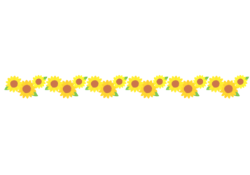 夏の飾り罫線（ヒマワリの花）