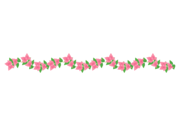 夏の飾り罫線（ブーゲンビリアの花）