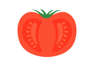 トマトの断面