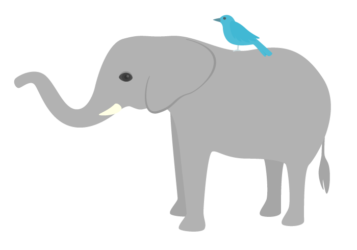 ゾウ（象）と小鳥