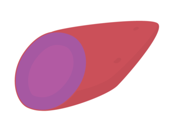 サツマイモ（紫芋）