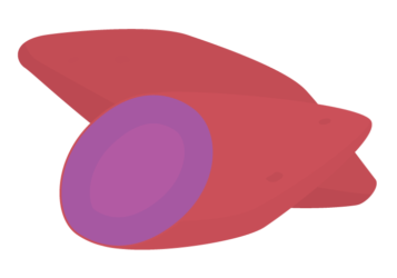 サツマイモ（紫芋）
