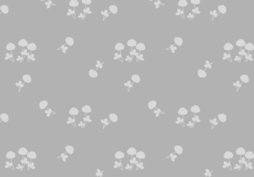 花柄背景（シロツメクサ柄）