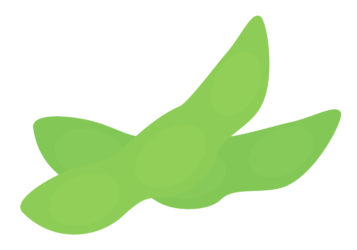 エダマメ（枝豆）