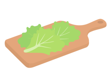 レタス