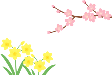 1月はがきのテンプレート（横書き用のウメとスイセン）