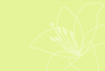 7月はがきのテンプレート（横書き用のユリの花）