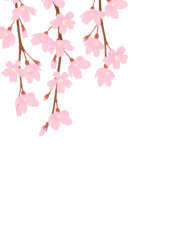 3月はがきのテンプレート（縦書き用のサクラの花）