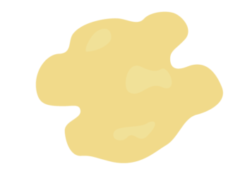 クルミ（胡桃）