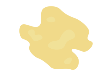 クルミ（胡桃）