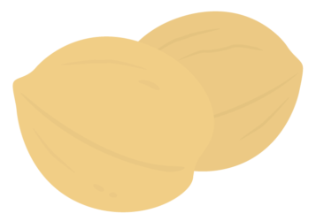 クルミ（胡桃）