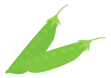 絹さや（サヤエンドウ）
