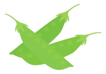 絹さや（サヤエンドウ）