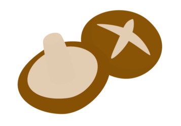 シイタケ（椎茸）