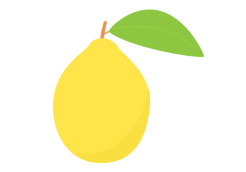 カリン（花梨）