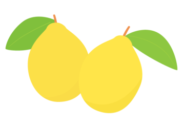 カリン（花梨）