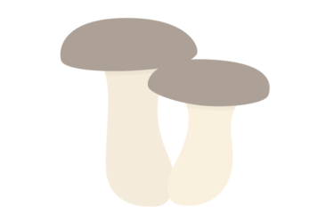 エリンギ
