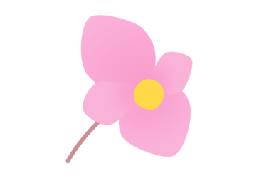 シュウカイドウ（秋海棠）