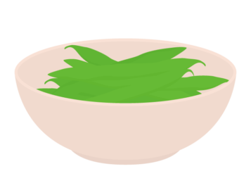 インゲンマメ