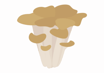 マイタケ（舞茸）