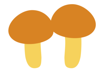 ナメコ（滑子）