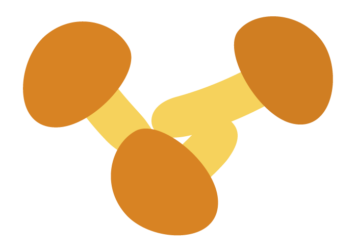ナメコ（滑子）