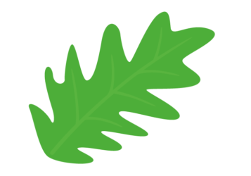 クッカバラ