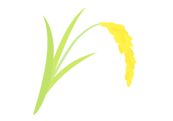 イネ（稲）