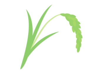イネ（稲）