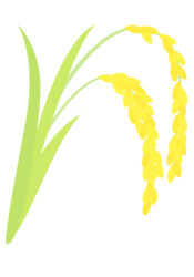 イネ（稲）